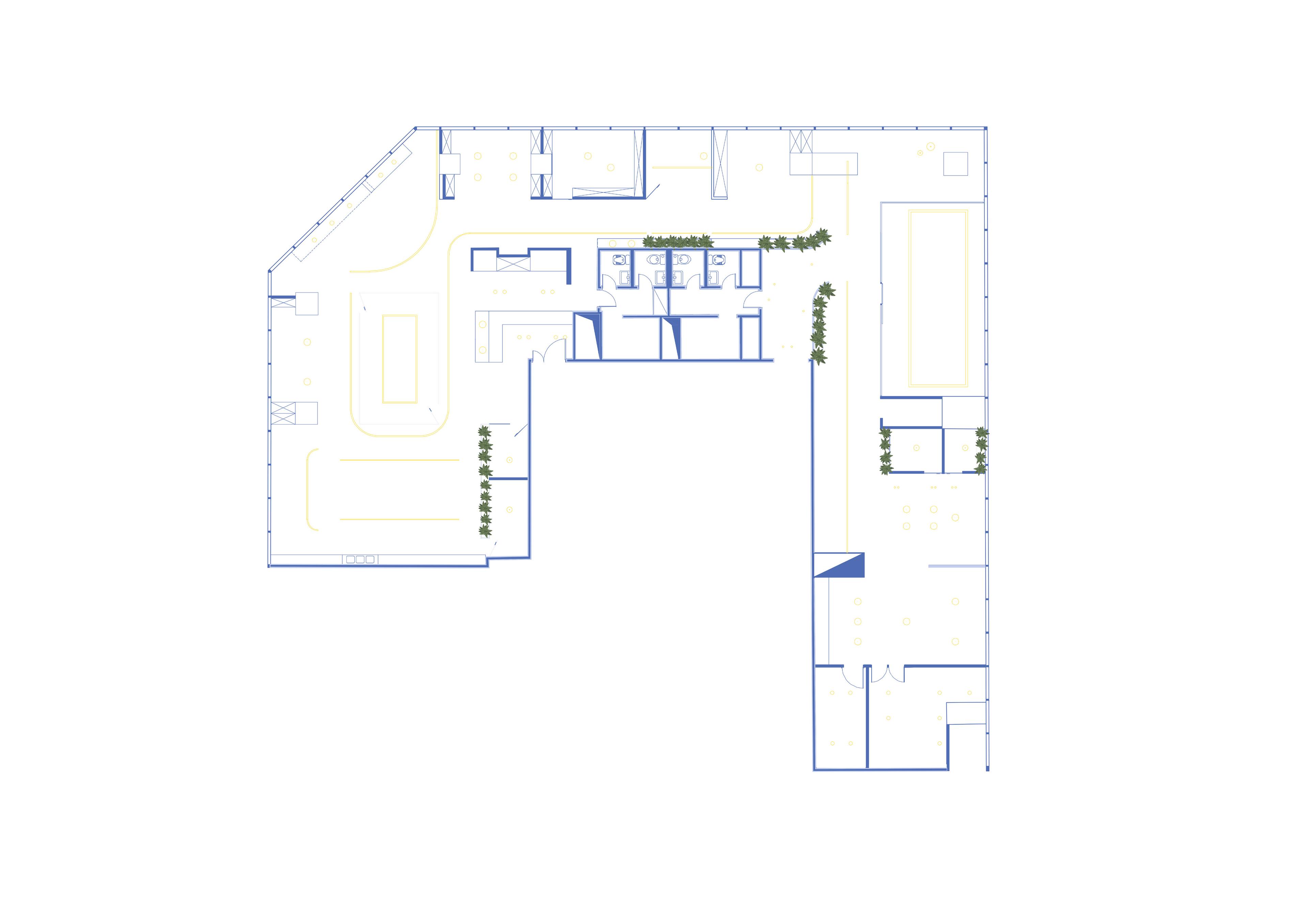 Light Plan